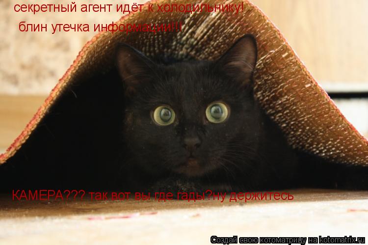 Котоматрица: ceкретный агент идёт к холодильнику! блин утечка информации!!!  КАМЕРА??? так вот вы где гады?ну держитесь