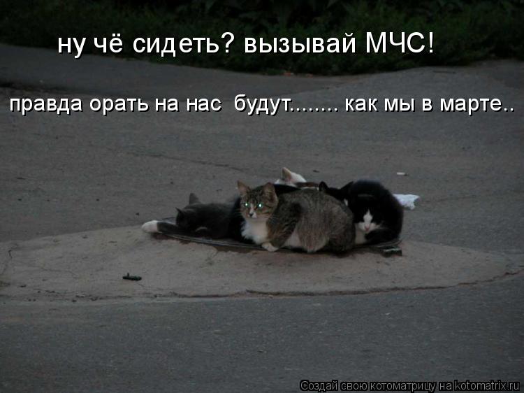 ну чё сидеть? вызывай МЧС! правда орать на нас будут........ как мы в марте..... Котоматрица: ну чё сидеть? вызывай МЧС! правда орать на нас будут........ как мы в марте..