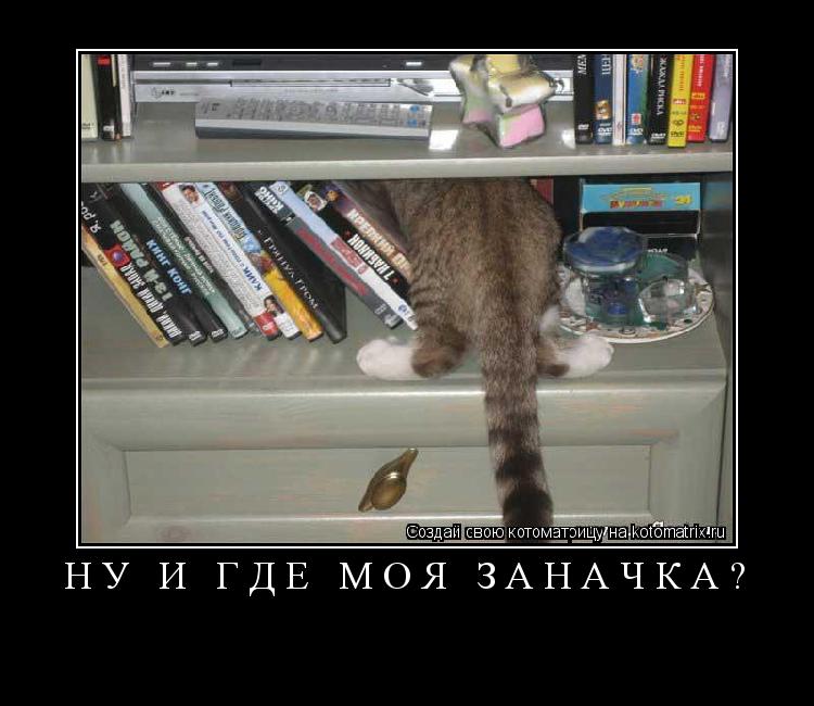 Котоматрица: НУ И ГДЕ МОЯ ЗАНАЧКА? 