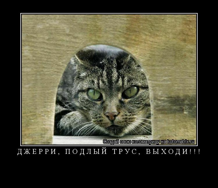 Котоматрица: ДЖЕРРИ, ПОДЛЫЙ ТРУС, ВЫХОДИ!!! 