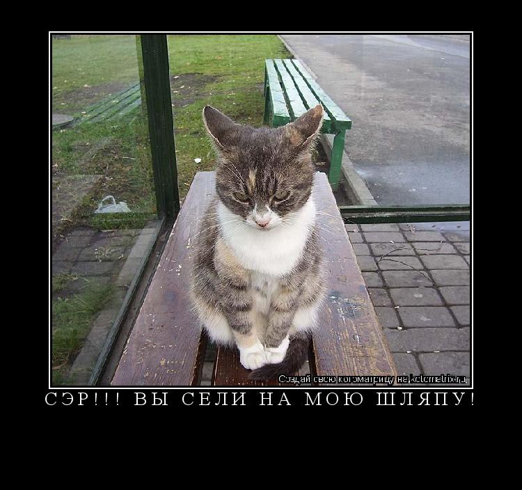Котоматрица: СЭР!!! ВЫ СЕЛИ НА МОЮ ШЛЯПУ! 