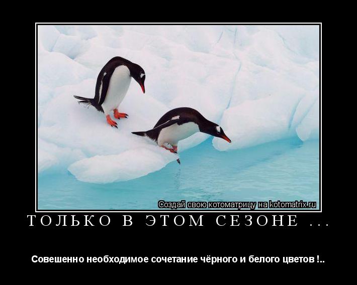 Котоматрица: Только в этом сезоне ... Совешенно необходимое сочетание чёрного и белого цветов !..
