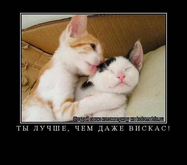 Котоматрица: ТЫ ЛУЧШЕ, ЧЕМ ДАЖЕ ВИСКАС! 