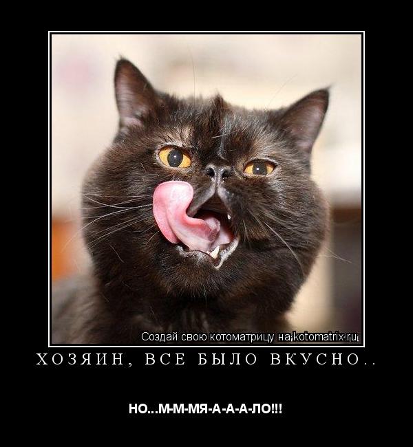 Котоматрица: ХОЗЯИН, ВСЕ БЫЛО ВКУСНО.. НО...М-М-МЯ-А-А-А-ЛО!!!