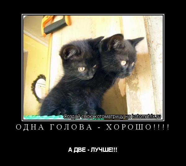 Котоматрица: ОДНА ГОЛОВА - ХОРОШО!!!! А ДВЕ - ЛУЧШЕ!!!