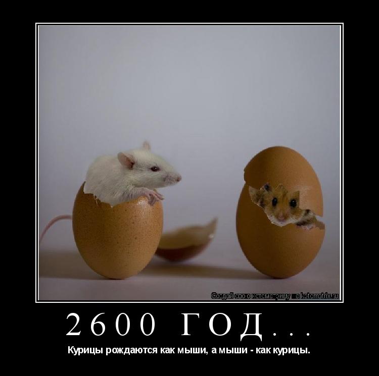 Котоматрица: 2600 год... Курицы рождаются как мыши, а мыши - как курицы.