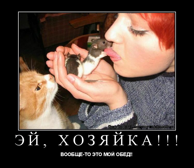 Котоматрица: ЭЙ, ХОЗЯЙКА!!! ВООБЩЕ-ТО ЭТО МОЙ ОБЕД!!