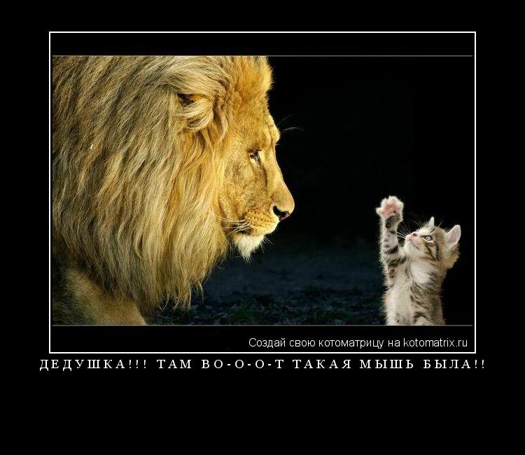 Котоматрица: ДЕДУШКА!!! ТАМ ВО-О-О-Т ТАКАЯ МЫШЬ БЫЛА!! 