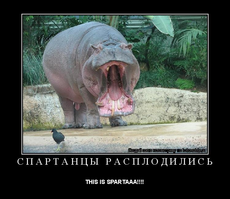 Котоматрица: Спартанцы расплодились THIS IS SPARTAAA!!!!