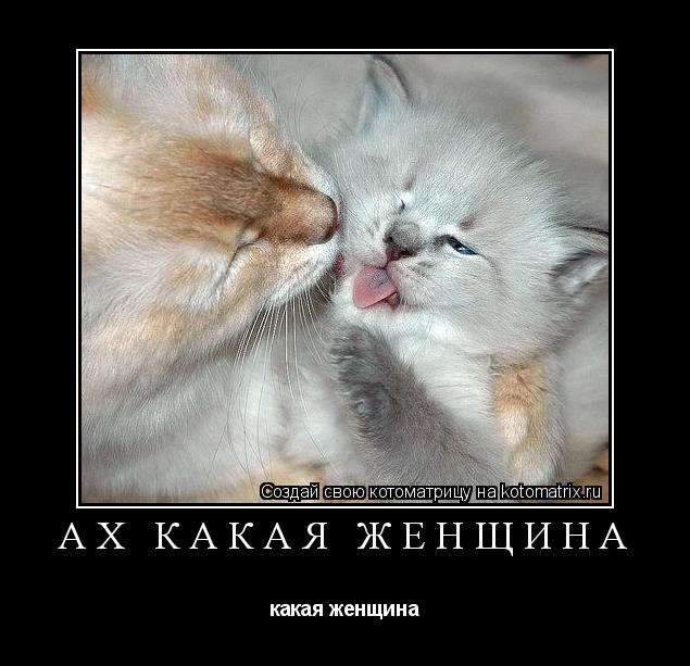 Котоматрица: ах какая женщина какая женщина