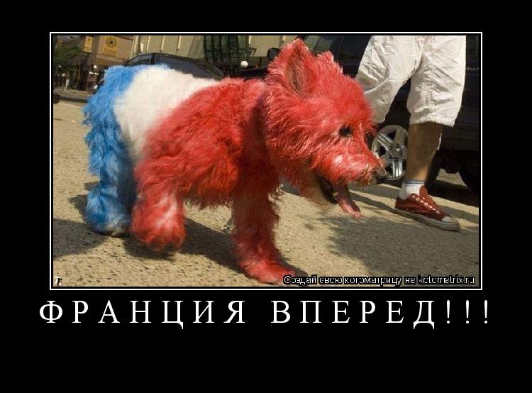 Котоматрица: франция вперёд!!! 