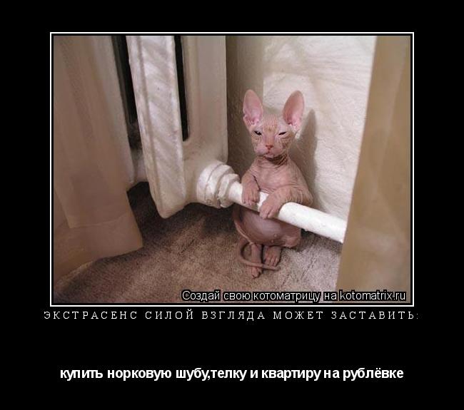 Котоматрица: ЭКСТРАСЕНС Силой взгляда может заставить: купить норковую шубу,телку и квартиру на рублёвке