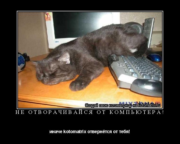 Котоматрица: не отворачивайся от компьютера! иначе kotomatrix отвернётся от тебя!