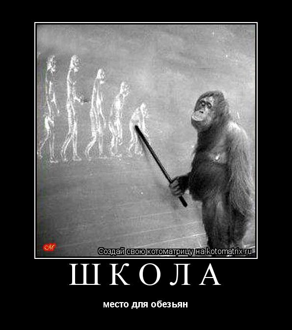 Котоматрица: школа место для обезьян