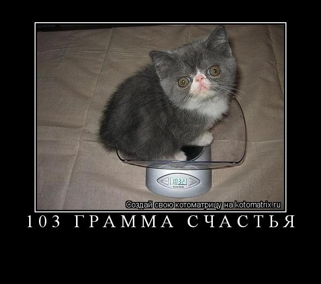 Котоматрица: 103 ГРАММА СЧАСТЬЯ 