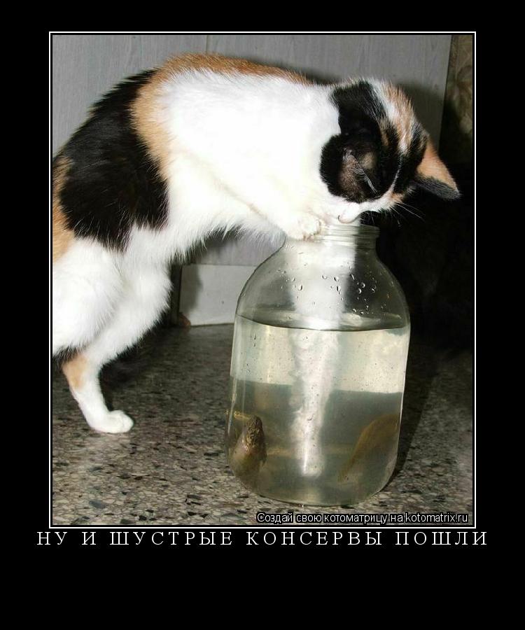 Котоматрица: НУ И ШУСТРЫЕ КОНСЕРВЫ ПОШЛИ 
