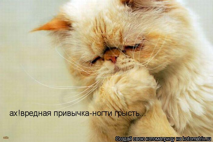 Котоматрица: ах!вредная привычка-ногти грысть...