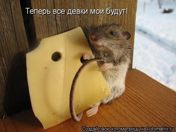 Котоматрица: Теперь все девки мои будут!