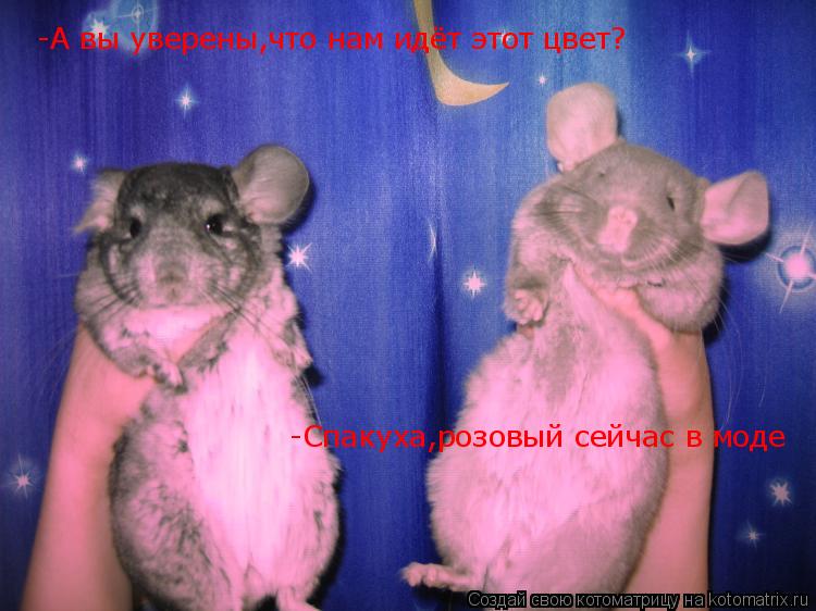 -А вы уверены,что нам идёт этот цвет? -Спакуха,розовый сейчас в моде... Котоматрица: -А вы уверены,что нам идёт этот цвет? -Спакуха,розовый сейчас в моде