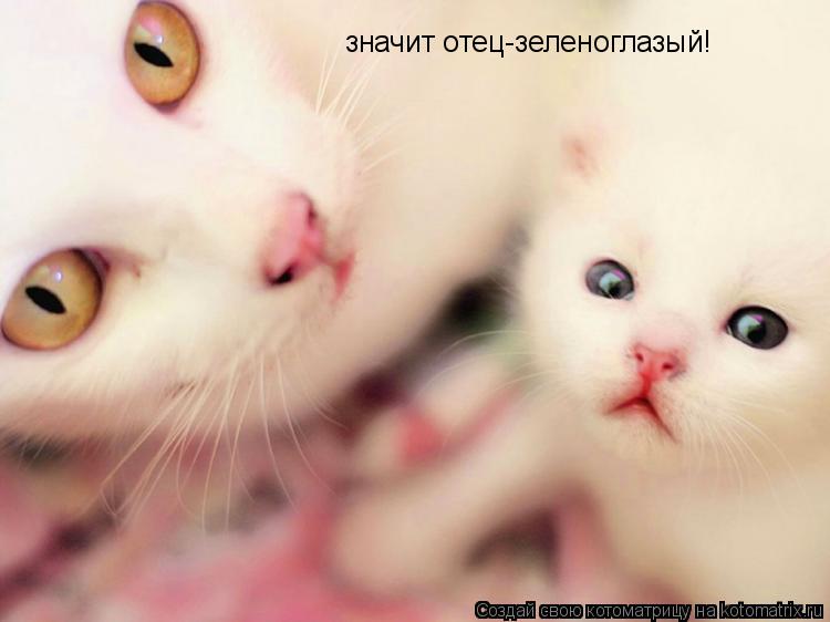 Котоматрица: значит отец-зеленоглазый!