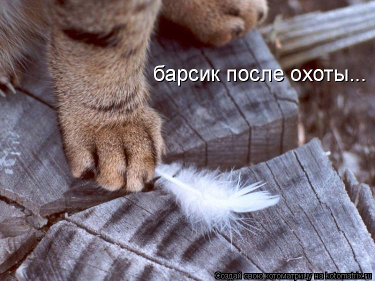 Котоматрица: барсик после охоты...