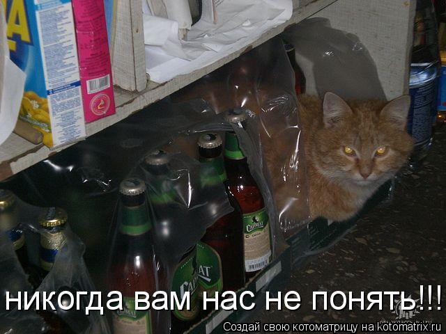 Котоматрица: никогда вам нас не понять!!!
