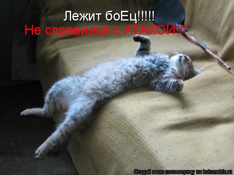 Котоматрица: Лежит боЕц!!!!! Не справился с АТАКОЙ!!!