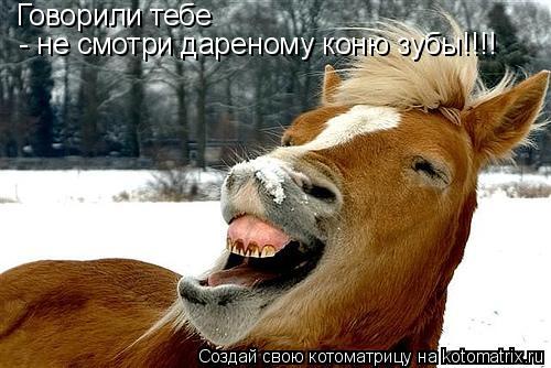 Котоматрица: Говорили тебе - не смотри дареному коню зубы!!!!
