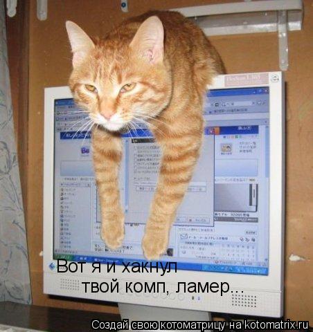 Котоматрица: Вот я и хакнул  твой комп, ламер...
