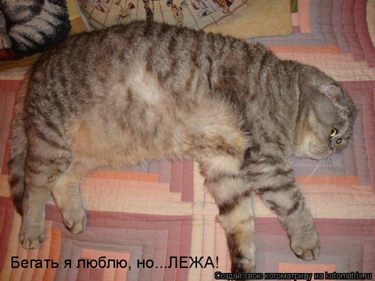 Котоматрица: Бегать я люблю, но...ЛЕЖА!