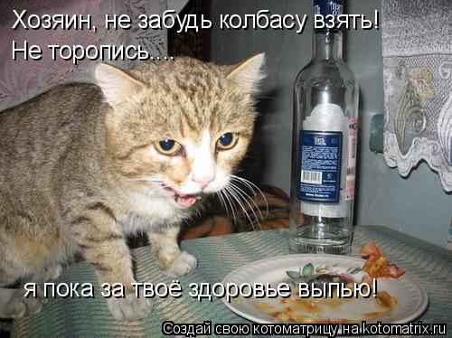 Котоматрица: Хозяин, не забудь колбасы взять! А я пока за твое здоровье выпью... Хозяин, не забудь колбасу взять!  Не торопись.... я пока за твоё здоровье вып