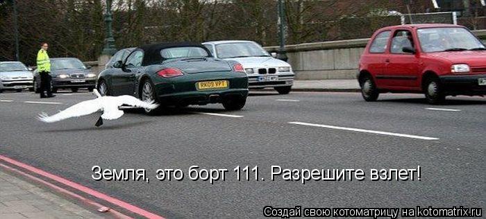 Котоматрица: Земля, это борт 111. Разрешите взлет!