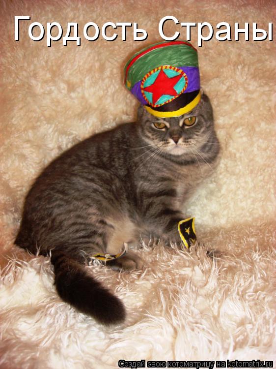 Котоматрица: Гордость Страны