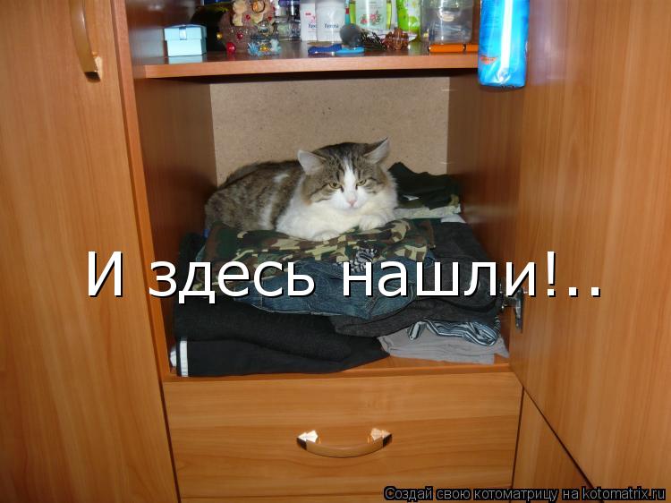 Котоматрица: И здесь нашли!..
