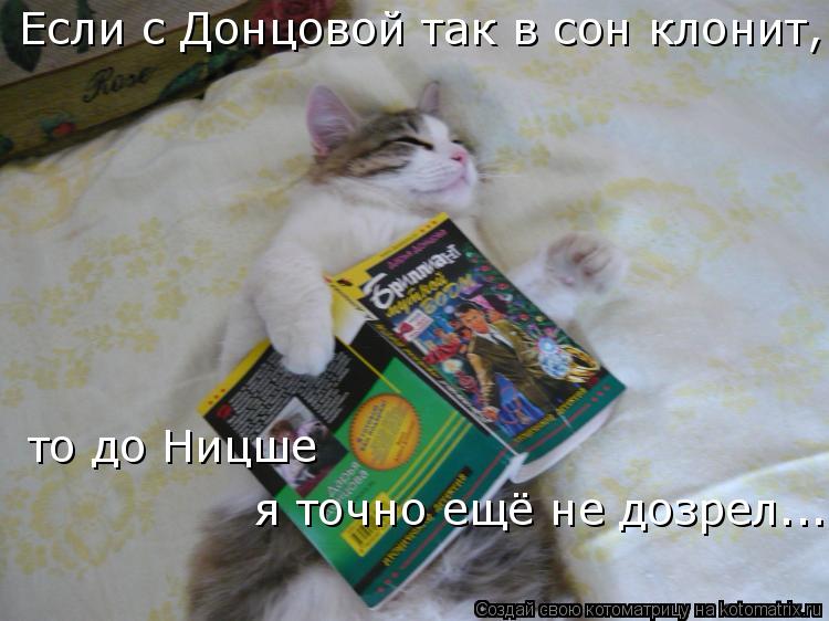 Котоматрица: Если с Донцовой так в сон клонит, то до Ницше я точно ещё не дозрел...