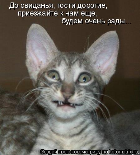 Котоматрица: До свиданья, гости дорогие, приезжайте к нам еще,  будем очень рады...