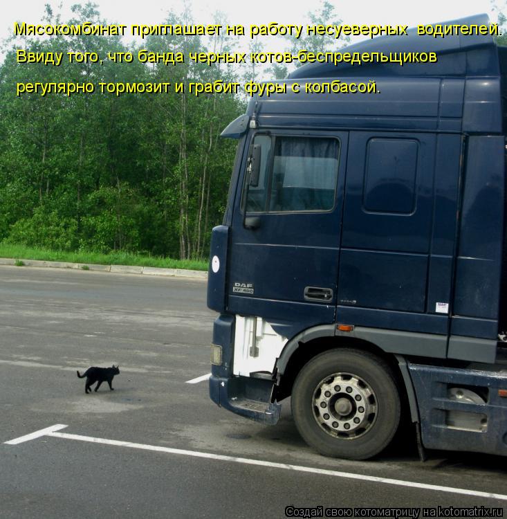 Котоматрица: Мясокомбинат приглашает на работу несуеверных  водителей. Ввиду того, что банда черных котов-беспредельщиков  регулярно тормозит и грабит 