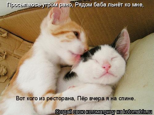 Котоматрица: Просыпаюсь утром рано, Рядом баба льнёт ко мне,  Вот кого из ресторана, Пёр вчера я на спине.