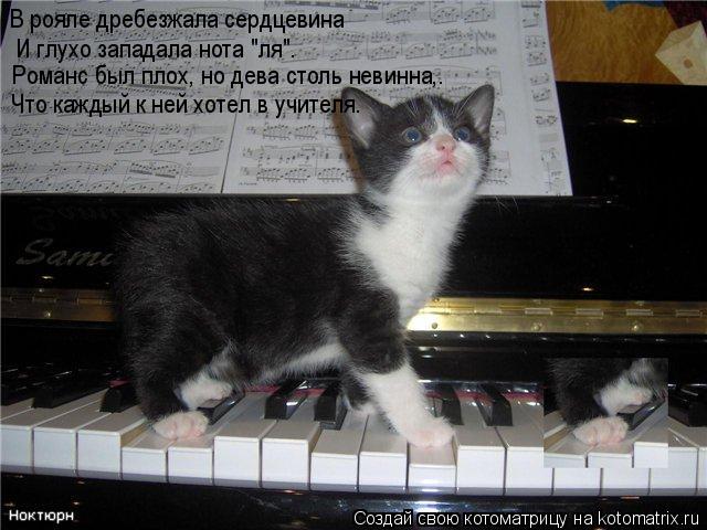 Котоматрица: В рояле дребезжала сердцевина   И глухо западала нота "ля".  Романс был плох, но дева столь невинна,. Что каждый к ней хотел в учителя.