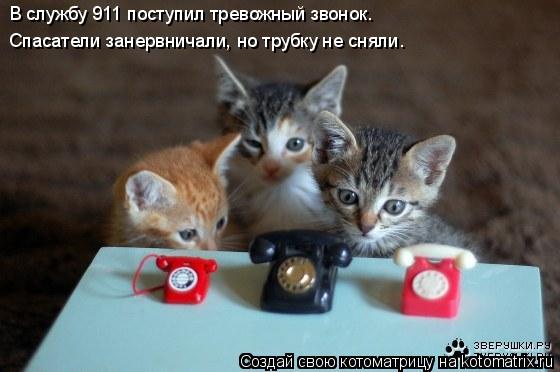 Котоматрица: В службу 911 поступил тревожный звонок. Спасатели занервничали, но трубку не сняли.