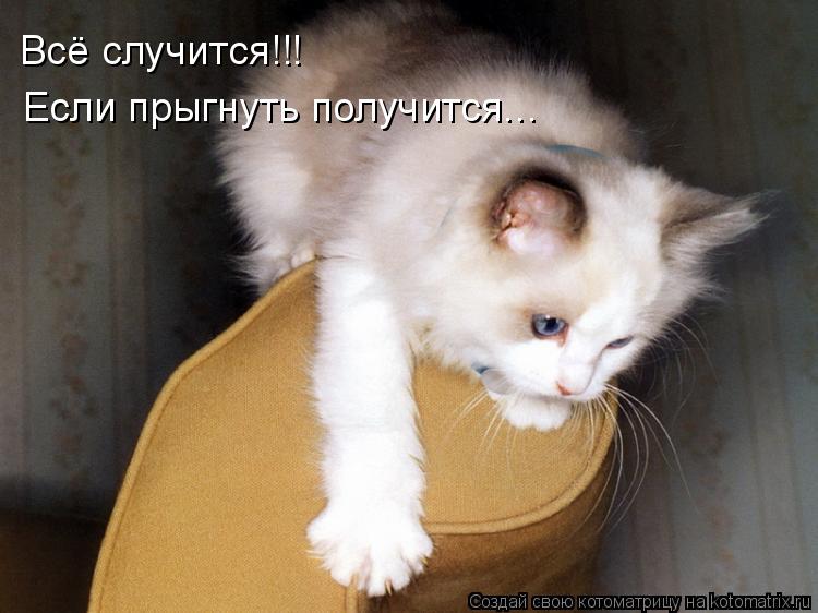 Котоматрица: Всё случится!!! Если прыгнуть получится...