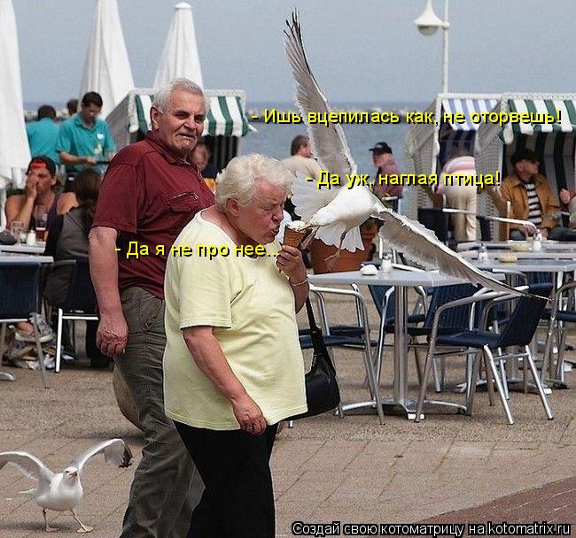 - Ишь вцепилась как, не оторвешь! - Да я не про нее... - Да уж, наглая птица!... Котоматрица: - Ишь вцепилась как, не оторвешь! - Да я не про нее... - Да уж, наглая птица!