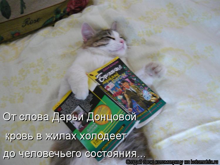 Котоматрица: От слова Дарьи Донцовой кровь в жилах холодеет до человечьего состояния...