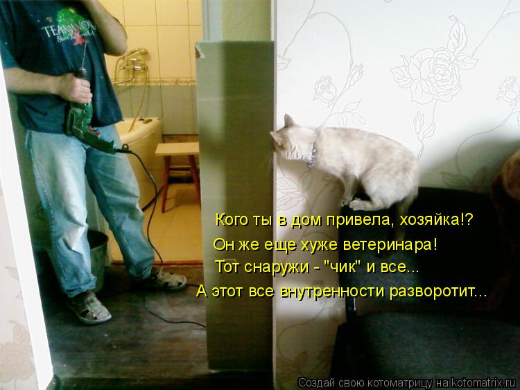Котоматрица: Кого ты в дом привела, хозяйка!? Он же еще хуже ветеринара! Тот снаружи - "чик" и все... А этот все внутренности разворотит...
