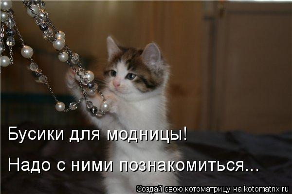 Котоматрица: Бусики для модницы! Надо с ними познакомиться...