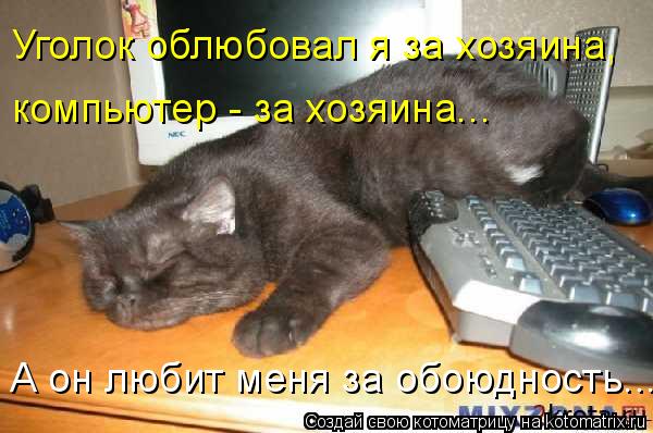 Котоматрица: Уголок облюбовал я за хозяина, компьютер - за хозяина... А он любит меня за обоюдность...