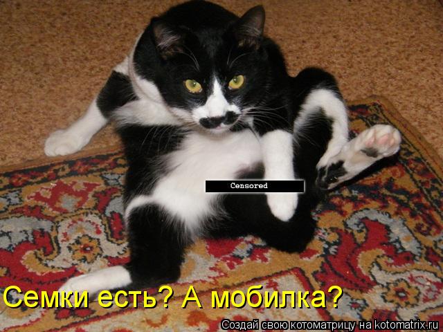 Котоматрица: Семки есть? А мобилка?