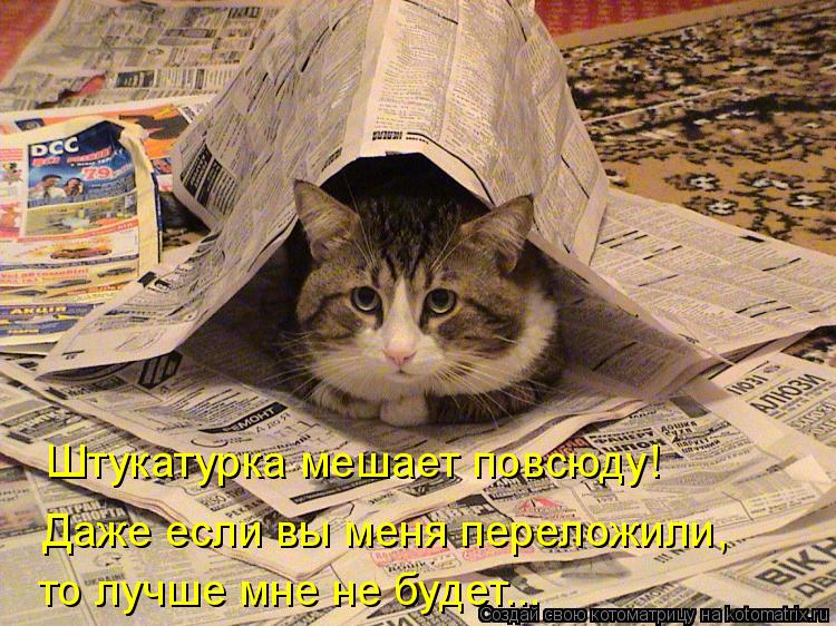 Котоматрица: Штукатурка мешает повсюду! Даже если вы меня переложили, то лучше мне не будет...
