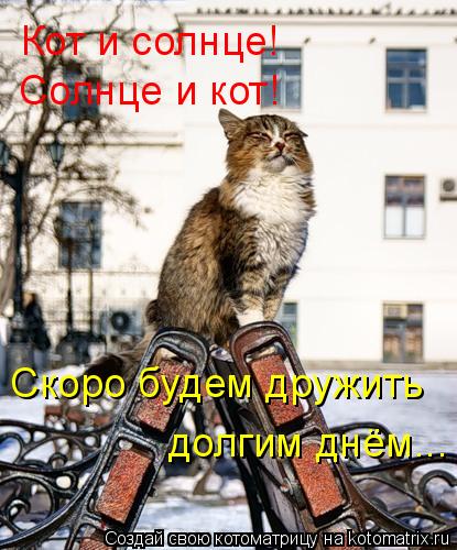 Котоматрица: Кот и солнце! Солнце и кот! Скоро будем дружить долгим днём...