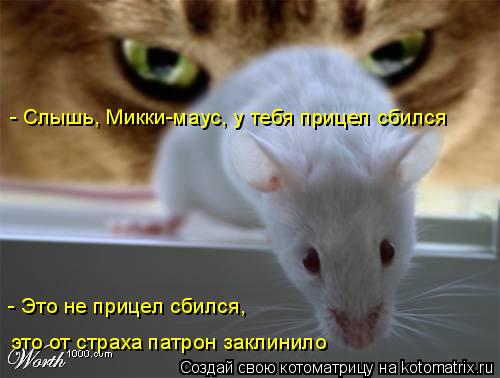 - Слышь, Микки-маус, у тебя прицел сбился - Это не прицел сбился, это от страха патрон заклинило... Котоматрица: - Слышь, Микки-маус, у тебя прицел сбился - Это не прицел сбился, это от страха патрон заклинило